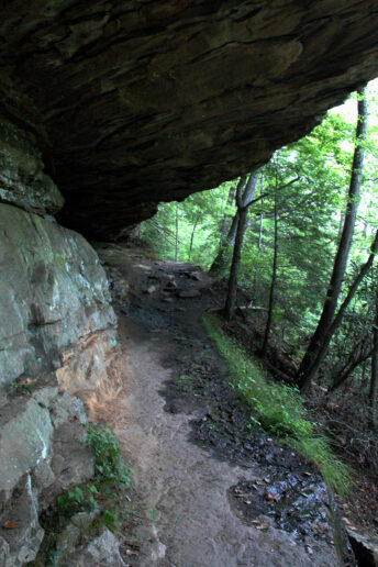 Cliff trail